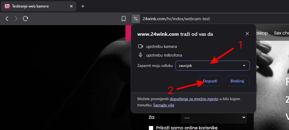 Brave Permissions